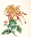 Chrysanthemum Gongbi Painting Class with Victoria Li - 11/12