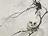 A Hummingbird Mother Feeding Nestlings (colored version)